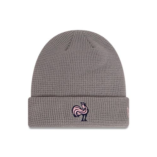 Bonnet FRANCE RUGBY & NEW ERA 9FORTY Gris